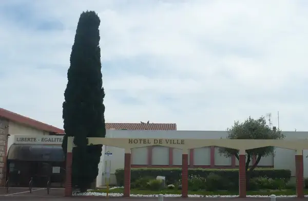 Conseil Monte Escalier Monte escalier Saleilles