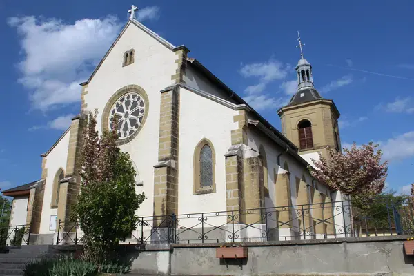 Conseil Monte Escalier Monte escalier Sales