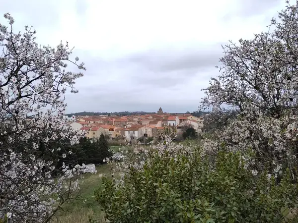 Conseil Monte Escalier Monte escalier Trouillas