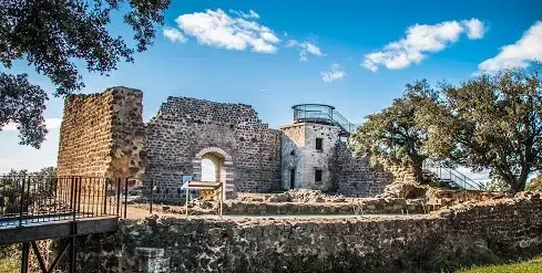 Conseil Monte Escalier Monte escalier Valros