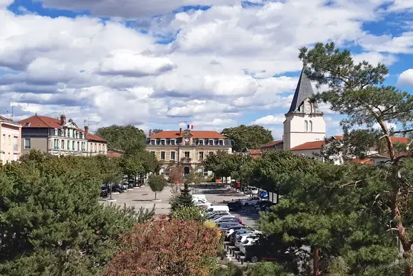 Conseil Monte Escalier Monte escalier Vénissieux