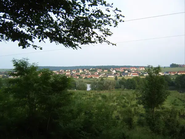Conseil Monte Escalier Monte escalier Woustviller